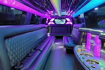 Carson City Limo Interior